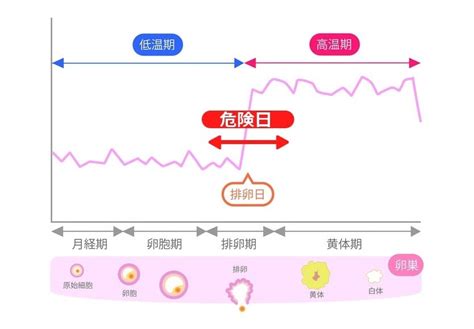 妊娠危険日計算|【医師監修】危険日や安全日っていつ？どうやって計。